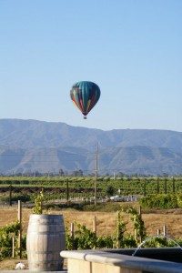 WineBalloon3